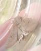 Orthosia gracilis